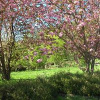 xdz4/xdz4_arg/xdz4_arg_d/xdz4_arg_d192/xdz4_arg_d192_2004-05-14 Bedaio-Altzo/xdz4_arg_d192_2004-05-14_Bedaio-Altzo_DSCN0007.JPG