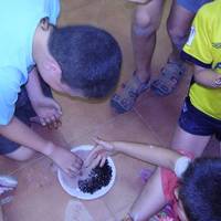 xdz4_arg/xdz4_arg/xdz4_arg_d/xdz4_arg_d621/zarautz txiki 1. txanda/xdz4_arg_d621_zarautz-txiki-1.-txanda_P6090066.jpg