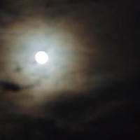 xdz4/xdz4_arg/xdz4_arg_d/xdz4_arg_d451/xdz4_arg_d451_2007-12-22 Altzo/xdz4_arg_d451_2007-12-22-Altzo_DSCF2960.jpg