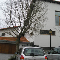 xdz4_arg/xdz4_arg/xdz4_arg_d/xdz4_arg_d456/xdz4_arg_d456_2008-01 Mintzola/xdz4_arg_d456_2008-01-Mintzola_P1150025.jpg