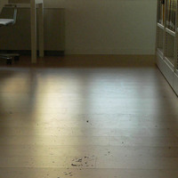 xdz4_arg/xdz4_arg/xdz4_arg_d/xdz4_arg_d537/xdz4_arg_d537_2008-10-07 Mintzola/xdz4_arg_d537_2008-10-07-Mintzola_P1110539.jpg