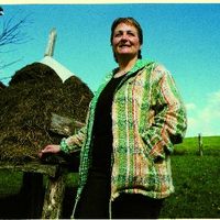 xdz4/xdz4_arg/xdz4_arg_d/xdz4_arg_d320/xdz4_arg_d320_b37 b/xdz4_arg_d320_b37 b_-es2.jpg