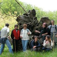 xdz4/xdz4_arg/xdz4_arg_d/xdz4_arg_d192/xdz4_arg_d192_2004-05-14 Bedaio-Altzo/xdz4_arg_d192_2004-05-14_Bedaio-Altzo_DSCN0031.JPG