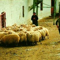 xdz4/xdz4_arg/xdz4_arg_d/xdz4_arg_d302/xdz4_arg_d302_b 28 A/xdz4_arg_d302_b 28 A_50-RCL.2BERTSO.ngs1.jpg