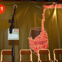 NAFARROAKO BERTSOLARI TXAPELKETA ( 40. 2011.) -  Kanporaketak -