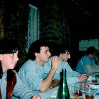 ELKARTEAK BERTSOGINTZAN II -