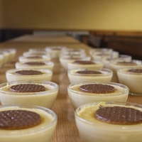 BERTSOTRUK. Euskal Herriko Bertso-Eskolen arteko desafioa -