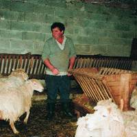 xdz4_arg/xdz4_arg/xdz4_arg_d/xdz4_arg_d328/xdz4_arg_d328_B46/xdz4_arg_d328_b46_2. irudiak B46/xdz4_arg_d328_B46_2.irudiak_begiristain1.jpg