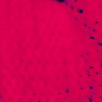 xdz4/xdz4_arg/xdz4_arg_d/xdz4_arg_d526/xdz4_arg_d526_bertsolari aldizkaria/xdz4_arg_d526_bertsolari aldizkaria_50/xdz4_arg_d526_bertsolari aldizkaria_49_50A/xdz4_arg_d526_bertsolari aldizkaria_50_50A_b2.jpg