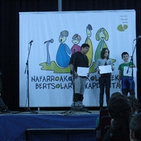 NAFARROAKO ESKOLARTEKO BERTSOLARI TXAPELKETA (27. 2013) -  FINALA -