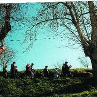 xdz4/xdz4_arg_d/xdz4_arg_d327/xdz4_arg_d327_tif b41 CD1/xdz4_arg_d327_41CD1_elg-3.jpg