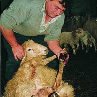 xdz4_arg/xdz4_arg/xdz4_arg_d/xdz4_arg_d328/xdz4_arg_d328_B46/xdz4_arg_d328_b46_2. irudiak B46/xdz4_arg_d328_B46_2.irudiak_begiristain4.jpg