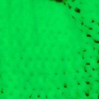 xdz4/xdz4_arg_d/xdz4_arg_d327/xdz4_arg_d327_tif b41 CD2/xdz4_arg_d327_41CD2_xz2.jpg