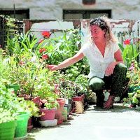 xdz4/xdz4_arg/xdz4_arg_d/xdz4_arg_d321/xdz4_arg_d321_B38 A CD1-argaz.1/xdz4_arg_d321_B38 A CD1-argaz.1_-oi27.jpg