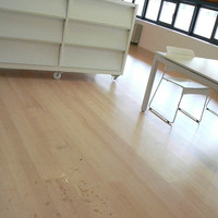 xdz4_arg/xdz4_arg/xdz4_arg_d/xdz4_arg_d537/xdz4_arg_d537_2008-10-07 Mintzola/xdz4_arg_d537_2008-10-07-Mintzola_P1110537.jpg