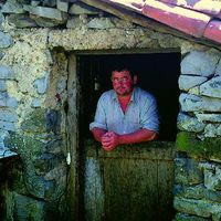 xdz4_arg/xdz4_arg/xdz4_arg_d/xdz4_arg_d303/xdz4_arg_d303_b 28 B/xdz4_arg_d303_b 28 B_54-RCK.BERTSO.ngs1.jpg