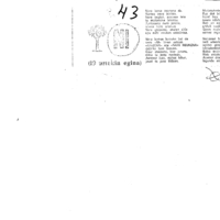 Euskaltzaindiaren sariak.  Xenpelar saria:  Izenburua: Ni