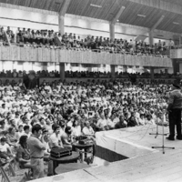 MATTIN -  OMENALDIAK -