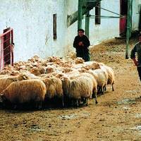 xdz4_arg/xdz4_arg/xdz4_arg_d/xdz4_arg_d328/xdz4_arg_d328_B46/xdz4_arg_d328_b46_2. irudiak B46/xdz4_arg_d328_B46_2.irudiak_begiristain2.jpg