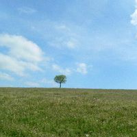 xdz4/xdz4_arg/xdz4_arg_d/xdz4_arg_d429/xdz4_arg_d429_2006-05-12 uztapide/xdz4_arg_d429_2006-05-12_uztapide_P1070129.JPG