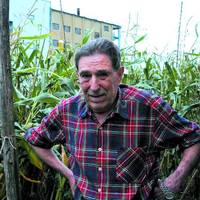 xdz4/xdz4_arg/xdz4_arg_d/xdz4_arg_d331/xdz4_arg_d331_B47 irudiak2/xdz4_arg_d331_B47 irudiak2_ereñozu03.jpg