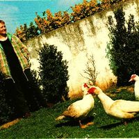 xdz4/xdz4_arg/xdz4_arg_d/xdz4_arg_d320/xdz4_arg_d320_b37 b/xdz4_arg_d320_b37 b_-es8.jpg