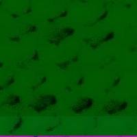 xdz4/xdz4_arg_d/xdz4_arg_d327/xdz4_arg_d327_tif b41 CD1/xdz4_arg_d327_41CD1_ju1.jpg