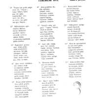 Bertsolaritza:  Izenburua: Txakurkume bati