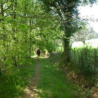 xdz4/xdz4_arg/xdz4_arg_d/xdz4_arg_d192/xdz4_arg_d192_2004-05-14 Bedaio-Altzo/xdz4_arg_d192_2004-05-14_Bedaio-Altzo_DSCN0003.JPG