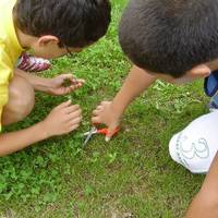 xdz4_arg/xdz4_arg/xdz4_arg_d/xdz4_arg_d621/zarautz txiki 2. txanda/xdz4_arg_d621_zarautz-txiki-2.-txanda_P6180046.jpg