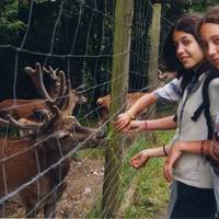 BERTSO-UDALEKUAK (X.a. 2002. Zarautz) -