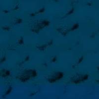 xdz4/xdz4_arg_d/xdz4_arg_d327/xdz4_arg_d327_tif b41 CD1/xdz4_arg_d327_41CD1_t1.jpg