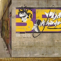 BIZKAIKO BERTSOLARI TXAPELKETA (13. 2010.) -  IRUDIA -