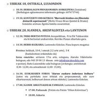 Euskararen Asteburua 2013