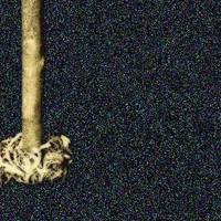 xdz4/xdz4_arg_d/xdz4_arg_d327/xdz4_arg_d327_tif b41 CD1/xdz4_arg_d327_41CD1_fk.jpg