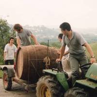 GIPUZKOAKO HERRI ARTEKO BERTSOLARI TXAPELKETA (7. 1999) -