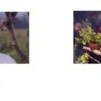 xdz4/xdz4_arg_d/xdz4_arg_d287/xdz4_arg_d287_LIBURURAKO/xdz4_arg_d287_LIBURURAKO_03-elkarrizketa laburrak/xdz4_arg_d287_LIBURURAKO_03_elkarrizketa laburrak_0305 copia.jpg