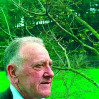 xdz4/xdz4_arg/xdz4_arg_d/xdz4_arg_d330/xdz4_arg_d330_B47 irudiak 1/xdz4_arg_d330_B47 irudiak1_-berriatu grande.jpg