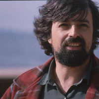 Hedabideetan txertatu beharra -