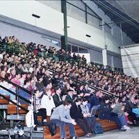 BIZKAIKO BERTSOLARI TXAPELKETA (x.a. 2002)   -