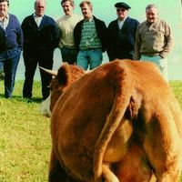 xdz4_arg/xdz4_arg/xdz4_arg_d/xdz4_arg_d303/xdz4_arg_d303_b 28 B/xdz4_arg_d303_b 28 B_19-RCL.BER.ngs1.jpg