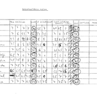 Bertsolaritza:  Arratsaldeko saioa