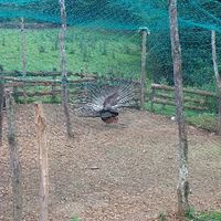 xdz4/xdz4_arg/xdz4_arg_d/xdz4_arg_d143/xdz4_arg_d143_Aubixa 2003/xdz4_arg_d143_Aubixa 2003_DCP_2719.JPG