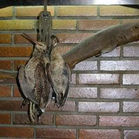 xdz4/xdz4_arg/xdz4_arg_d/xdz4_arg_d212/xdz4_arg_d212_bertso bazkaria/xdz4_arg_d212_bertso bazkaria_PICT0101.JPG