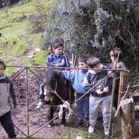 xdz4/xdz4_arg_d/xdz4_arg_d118/xdz4_arg_d118_Be Soraluze 2001 - Egoitz Unamuno/xdz4_arg_d118_Be Soraluze 2001 - Egoitz Unamuno_b txiki10.jpg