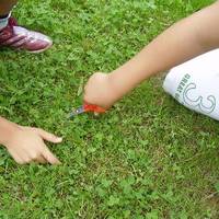 xdz4_arg/xdz4_arg/xdz4_arg_d/xdz4_arg_d621/zarautz txiki 2. txanda/xdz4_arg_d621_zarautz-txiki-2.-txanda_P6180048.jpg