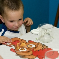 GIPUZKOAKO BERTSOLARI TXAPELKETA (10. 2011.) -  LEHENENGO FASEA -