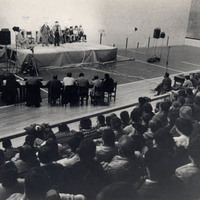 TXAPELKETA NAGUSIA (8.a. 1982) -