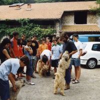 xdz4/xdz4_arg/xdz4_arg_d/xdz4_arg_d242/xdz4_arg_d242_Sin título-30.jpg